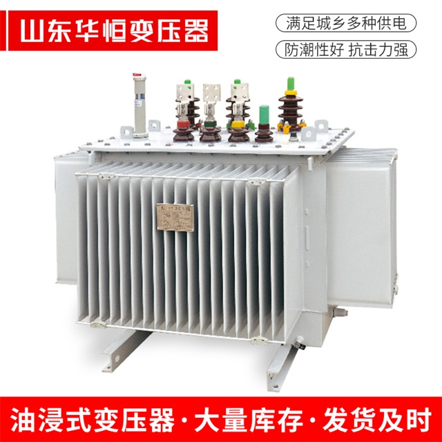 S13-10000/35盐都盐都盐都电力变压器